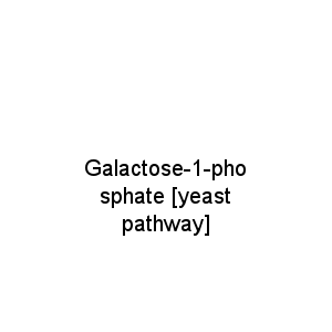 Galactose-1-phosphate [yeast pathway]